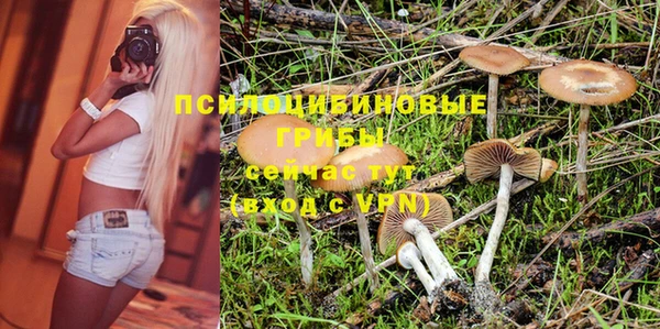 твердый Аркадак