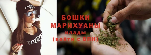 гашик Арсеньев