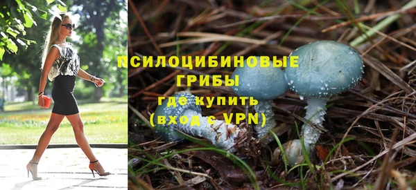 гашик Арсеньев