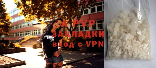 твердый Аркадак