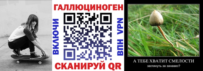 сайты даркнета официальный сайт  где купить наркотик  мега tor  Губаха  Псилоцибиновые грибы мухоморы 