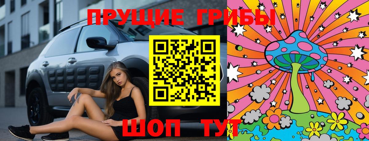 Губаха  Галлюциногенные грибы GOLDEN TEACHER  Вход с VPN 